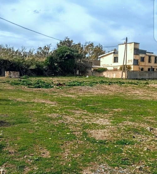 Vente Terrain Boumerdès Thenia
