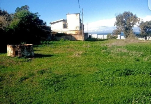 Vente Terrain Boumerdès Thenia