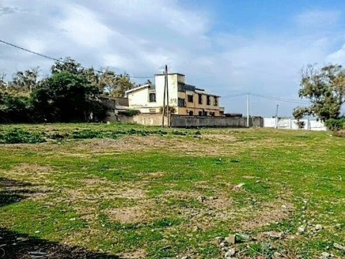 Vente Terrain Boumerdès Thenia