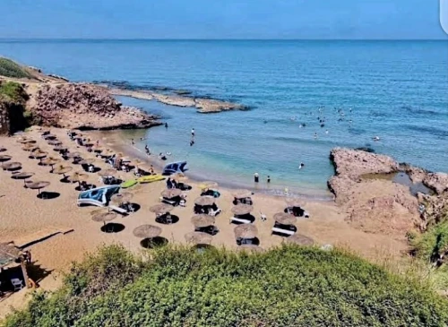 Vente Terrain Boumerdès Thenia