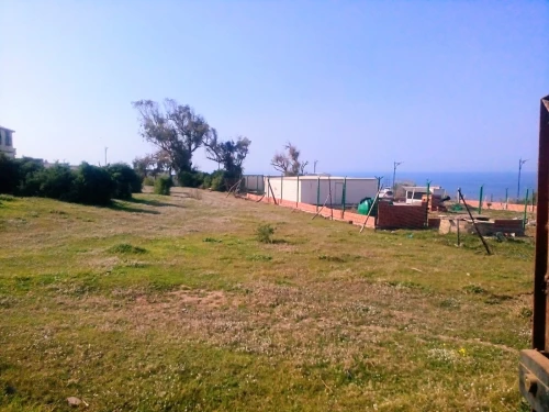 Vente Terrain Boumerdès Thenia