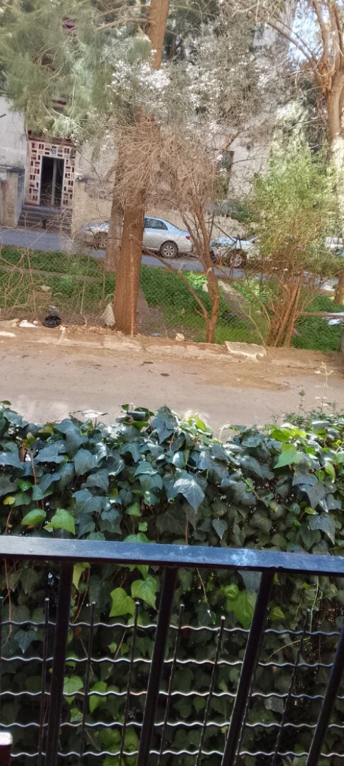 Vente Appartement F3 Alger El madania