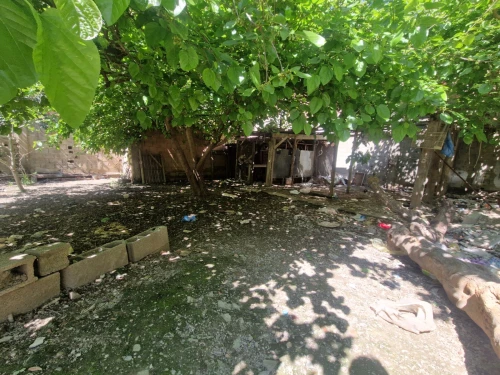 Vente Terrain Blida Ben khellil