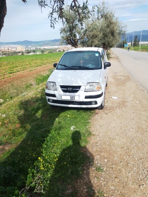 Hyundai Atos 2011 Atos