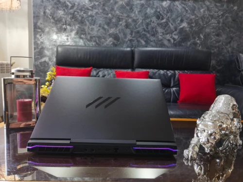 [VENDU] MIFCOM Mod XMG NEO 17 - i9 14900HX -RTX 4080 12Go - Écran 17.3" QHD 240Hz-RAM 64Go-SSD 1TB 