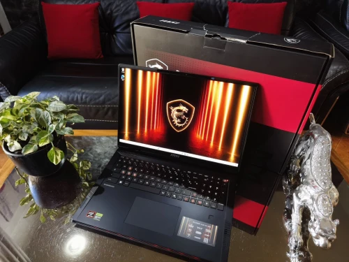MSI RAIDER 18 HX Ai  - AMD Ryzen 9 9955HX3D - RTX 5090 24Go - Écran 18" 4k Mini-Led 120Hz - RAM 64Go - SSD 2TB