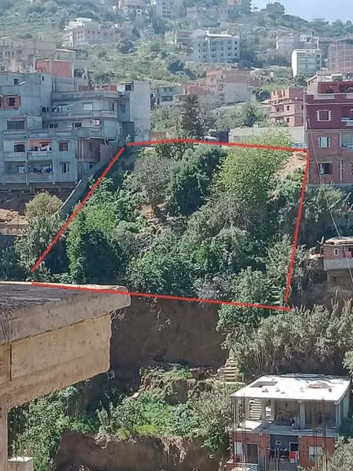 Vente Terrain Alger Rais hamidou