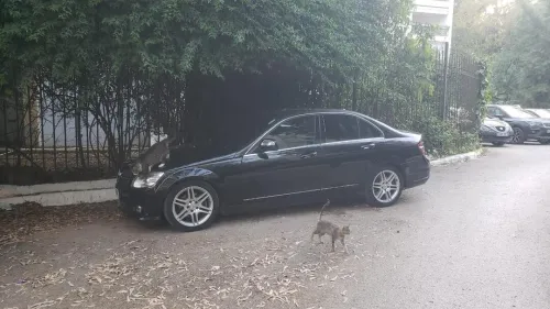 Mercedes Classe C 2008 220 Exclusive
