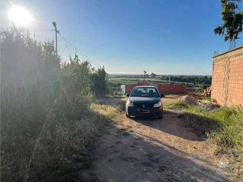 Vente Terrain Boumerdès Zemmouri