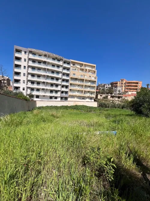 Vente Terrain Alger Cheraga
