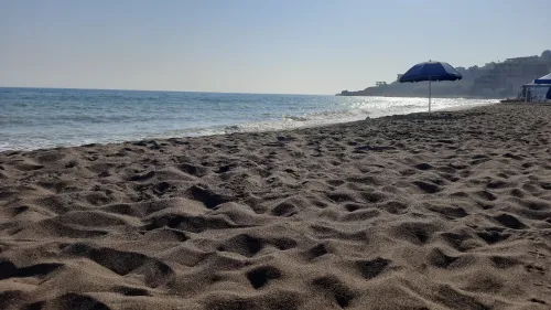 Vente Terrain Tipaza Larhat