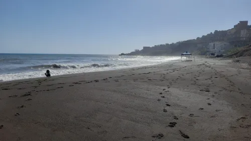 Vente Terrain Tipaza Larhat