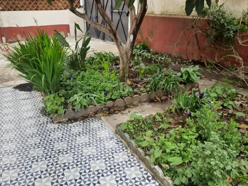 Location Appartement Niveau de villa F5 Alger Bouzareah