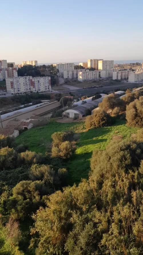 Vente Appartement F3 Alger Mahelma