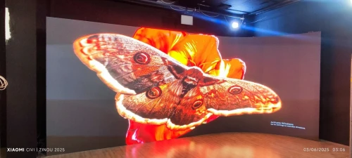 Ecran led géant incurvé p2.6 avec cabinet 500*500mm de studio 