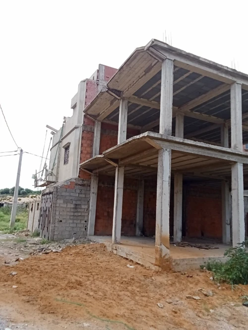 Vente Terrain El Tarf Echatt
