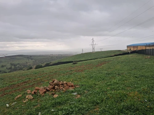 Vente Terrain Chlef Ouled fares