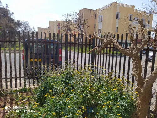 Location vacances Appartement F2 Alger Ain benian 3