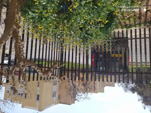 Location vacances Appartement Alger Ain benian
