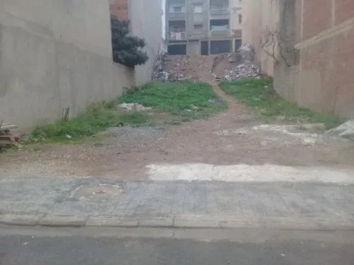 Vente Terrain Tipaza Douaouda