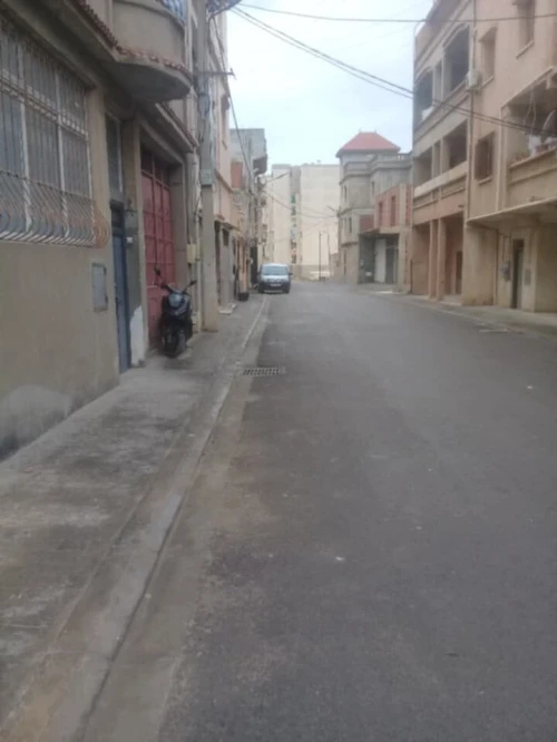 Vente Terrain Tipaza Douaouda