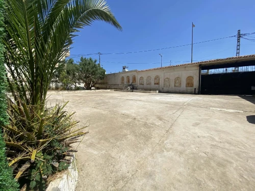 Vente Terrain Alger Saoula