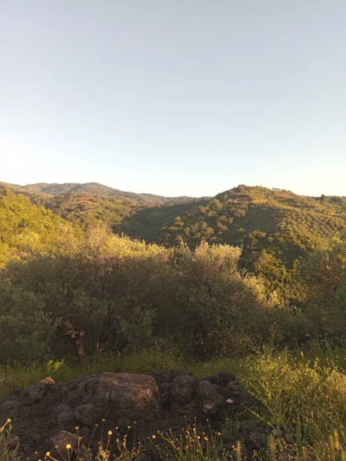 Vente Terrain Jijel El kennar nouchfi