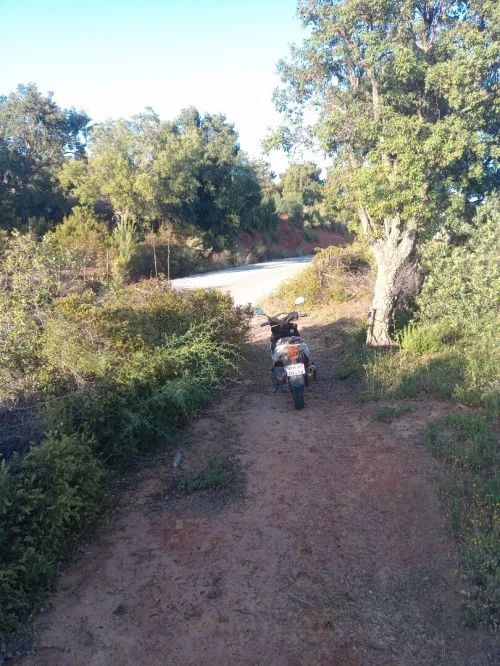 Vente Terrain Jijel El kennar nouchfi