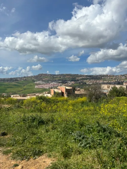Vente Terrain Médéa Medea