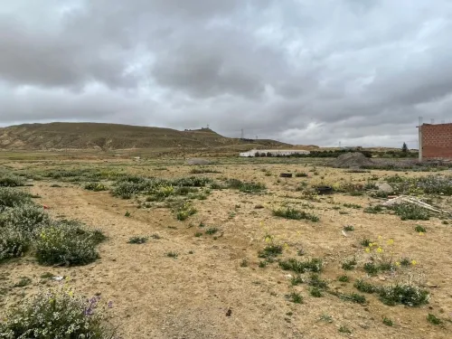 Vente Terrain Batna Ain touta