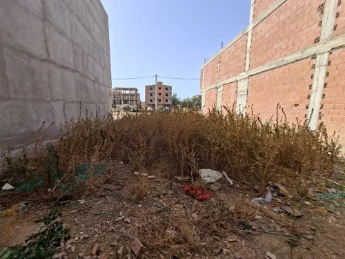 Vente Terrain Alger Ouled chebel 6