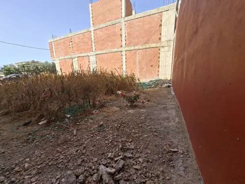 Vente Terrain Alger Ouled chebel 2