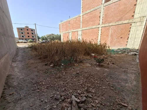 Vente Terrain Alger Ouled chebel 4