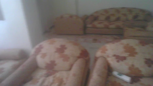 FAUTEUILS 2 salon