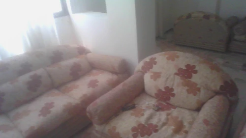 FAUTEUILS 2 salon