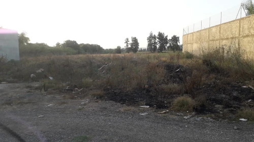 Vente Terrain Blida Chebli