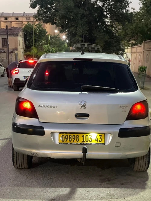 Peugeot 307 2003 307