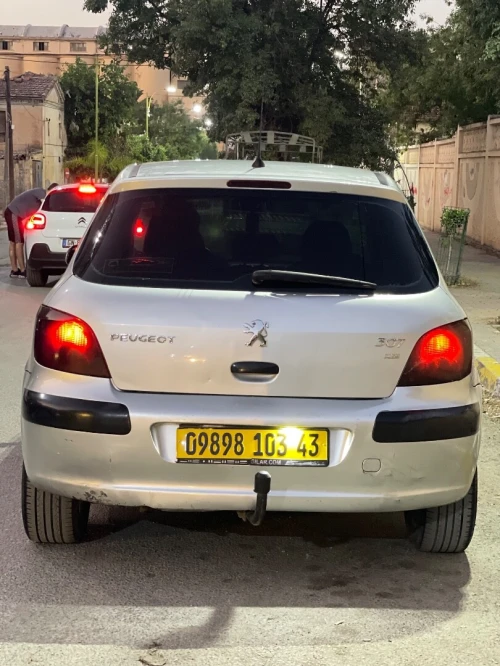 Peugeot 307 2003 307