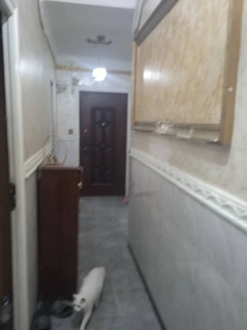 Vente Appartement F4 Alger Belouizdad