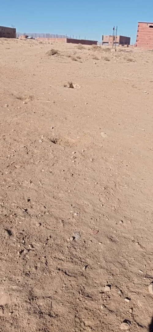Vente Terrain M'Sila Sidi aissa