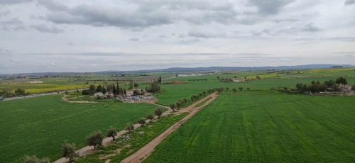 Location Appartement F4 Sidi Bel Abbès Sidi bel abbes