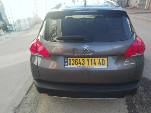 Peugeot 2008 2014 Erg