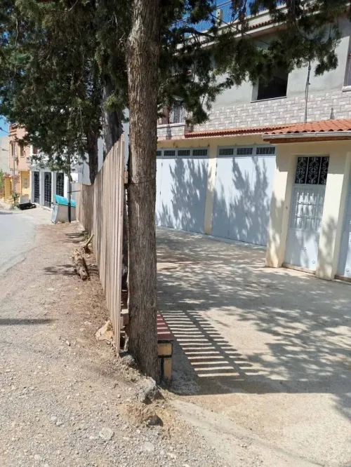 Location Local Alger Ouled fayet