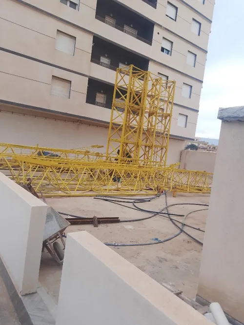 Chinoise Grue fix 