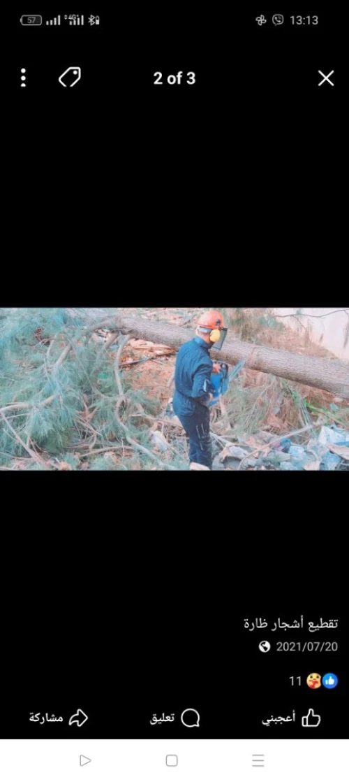 Abattage Des Arbres تقطيع اشجار