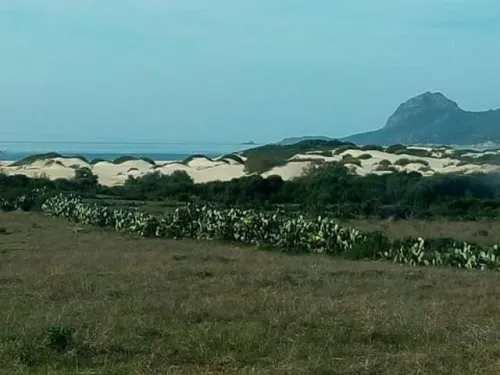 Vente Terrain Skikda El marsa