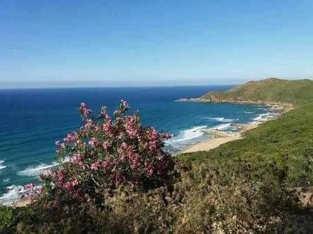 Location vacances Appartement F4 Skikda Collo