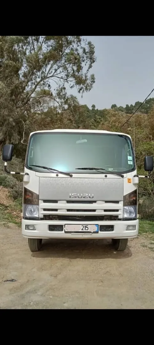 Isuzu NpR 2015