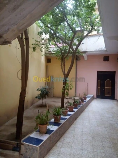 Vente Villa Sidi Bel Abbès Telagh