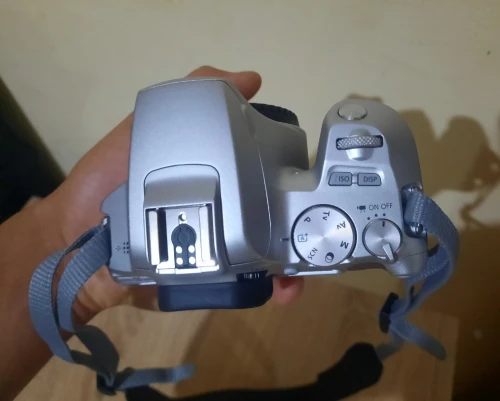 CAMERA CANON 250D (GRIS) STM